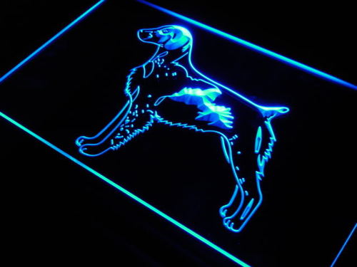 Brittany Dog Pet Shop Gift Home Neon Light Sign